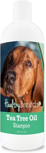 Vista 73 de Healthy Breeds Chow Chow Champú de aceite de árbol de té, formulado para pieles secas e irritadas, reduce la caspa, aroma de gaulteria, 8 onzas