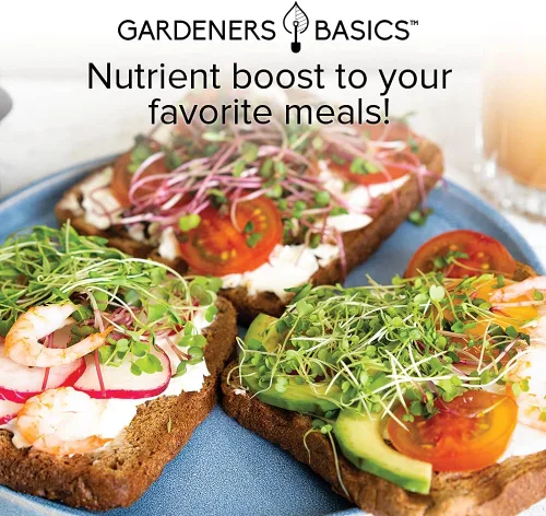 Vista 2 de Gardeners Basics, Kit de semillas de brócoli para germinación y microverdes sin OMG, bolsa de brotes resellables a granel de 1 libra