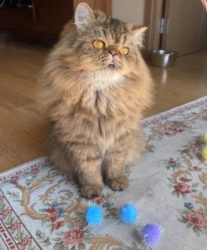 Vista 6 de 40 bolas de purpurina de 1.5 pulgadas de nueva generación, extra grandes, de persecución de gato, bolas de pompones brillantes