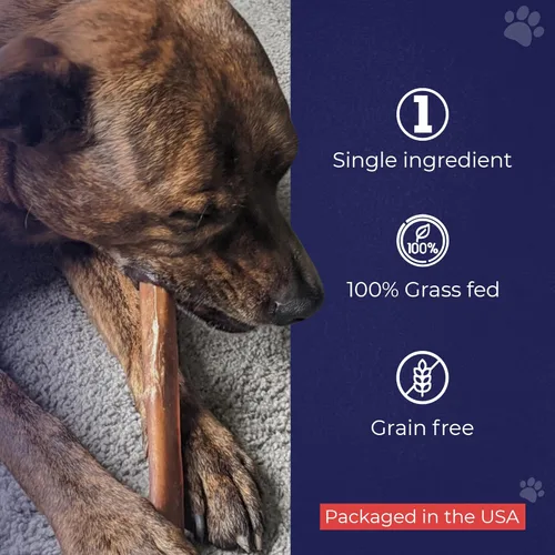 Vista 6 de Devil Dog Pet Co. Jumbo Bully Sticks – 6 pulgadas, paquete de 3 masticables para perros, 100% naturales, de un solo ingrediente, carne de res