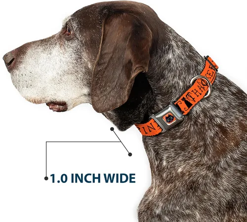 Vista 6 de Buckle-Down Collar de perro Hebilla de cinturón de seguridad Hocus Pocus Thackery Binx Cat Silhouette Naranja Negro, 1 pulgada de ancho - Se adapta