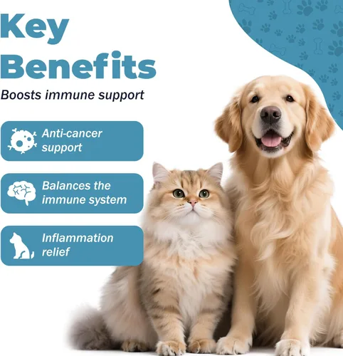 Vista 2 de Alivio de la alergia y la infección del oído del perro, quercetina para perros + bromelina con hongo de cola de pavo y probióticos, medicamento