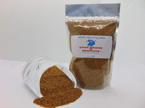 Semillas de alfalfa, marca COOL BEANS N SPROUTS de 50 unidades. Sin OGM. Jardinería en casa.