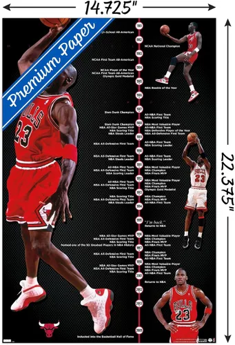 Vista 4 de Trends International Michael Jordan - Póster de pared de línea de tiempo, 14.725 x 22.375 pulgadas, versión enmarcada de madera de granero