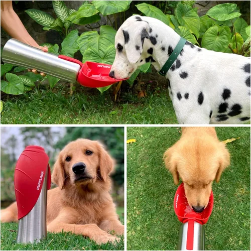 Vista 6 de PupFlask - Botella de agua grande para perros, acero inoxidable de 27 o 40 onzas, práctico dispensador de bebidas para perros, cuenco de agua