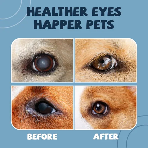 Vista 4 de Gotas Para Cataratas Para Perros, Gotas Naturales Seguras Para Ojos De Perros Para Aliviar La Picazón, Irritación Y Sequedad Ocular, Mejora La