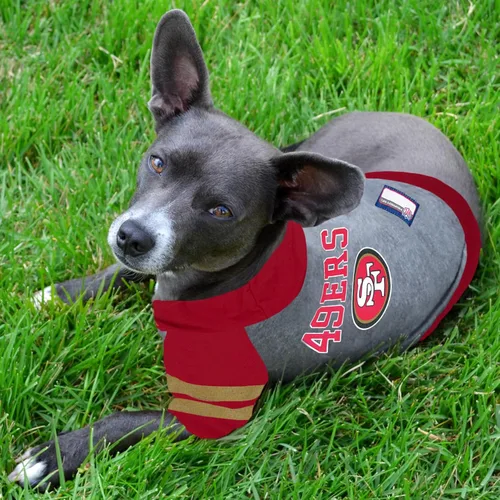 Vista 2 de NFL sudadera con capucha tee para perros y gatos. Fútbol perro sudadera con capucha playera disponible en todos los equipos de 32 NFL. cuttest