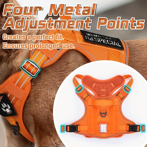Vista 2 de rabbitgoo - Arnés táctico para perros pequeños, chaleco de servicio militar sin tirones con asa y equipo Molle, fácil control para entrenar