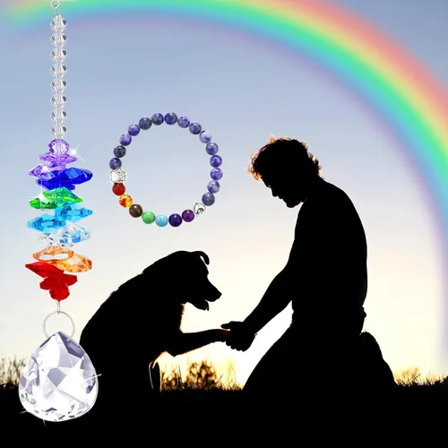 Vista 5 de Juego de 5 regalos conmemorativos de arcoíris para mascotas, incluye atrapasoles de cristal con estampado de patas, pulsera de arco iris
