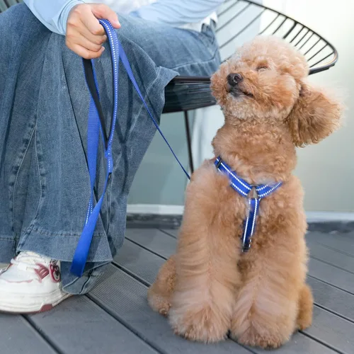 Vista 7 de EXCELLENT ELITE SPANKER Arnés sin tirones para perro, chaleco de nailon reflectante en forma de L, ajustable y fácil para mascotas, para razas