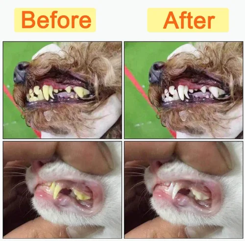 Vista 6 de Paquete de 10 cepillos de dientes para mascotas, 2 cepillos de dientes de triple cabeza para mascotas, 3 cepillos de dientes de doble cabeza