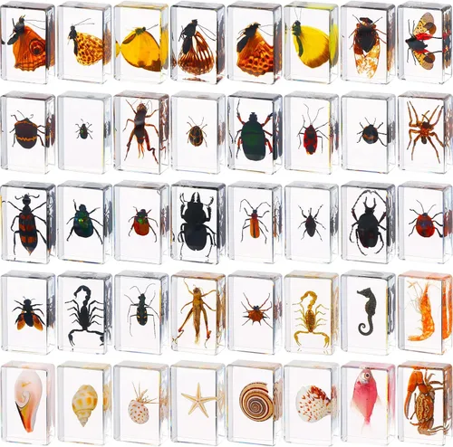 40 piezas de insectos en resina colección de insectos, pisapapeles, insectos reales en resina, varios espécimenes de insectos para niños,