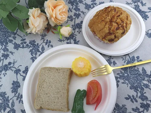 Vista 5 de 100% Compostable 9 Inch Paper Plates 50-Pack Heavy-Duty Plate, Natural Disposable Bagasse Plate, Eco-Friendly Made of Sugarcane FibersBiodegradable