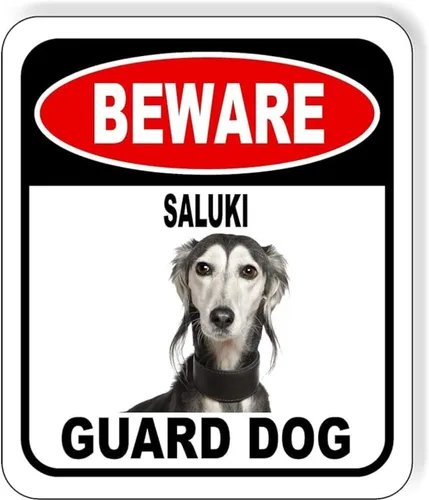 Vista 101 de BEWARE BASSETT HOUND GUARD DOG - Letrero compuesto de aluminio para exteriores, 8.5 x 10 pulgadas