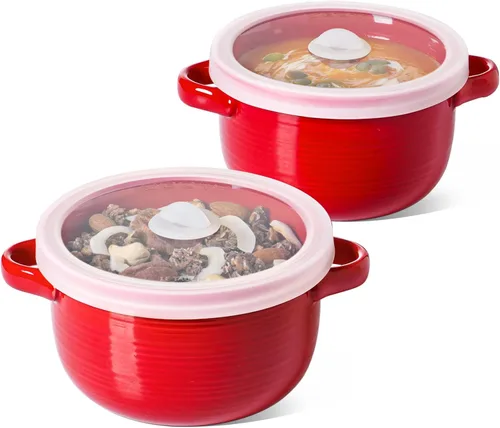 LE TAUCI Tazones de sopa con asas y tapas de silicona, tazón de cerámica para ramen de 28 onzas apto para microondas, resistente al horno, tazones