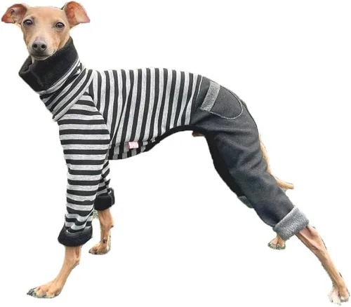 Vista 61 de D Doggy Star - Ropa de galgos italianos, enterizo elástico de neón para primavera y verano (talla S, naranja Onsi)
