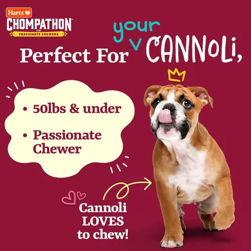 Vista 5 de Hartz Chompathon Diamondbite - Juguete masticable para perros masticadores agresivos, doble capa con sabor a pollo y mantequilla de maní