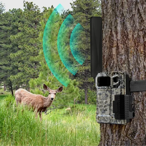 Vista 3 de Bingfu Antena de cámara de juego 4G LTE Cellular Trail 9dBi RP-SMA macho (paquete de 10) compatible con Spypoint Stealth Cam Tactacam Cuddeback