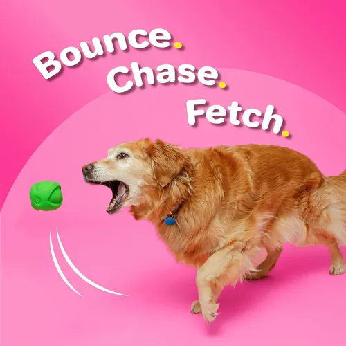 Vista 4 de Hartz DuraPlay - Juguetes perfumados para perros con aroma a tocino, tamaño pequeño (varios colores)