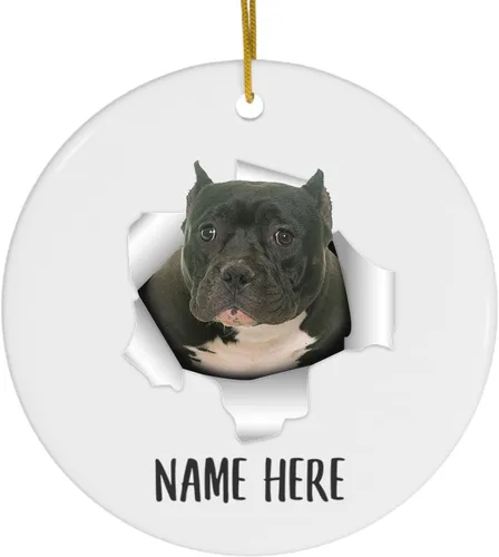 Personalized Name American Bully Black Christmas Tree Ornaments Circle Ceramic Decorations Gifts for Dog Lovers Owners