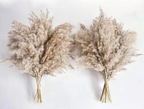 Vista 12 de 40 piezas de decoración de ramo de hierba de pampa natural, flores y plumas bohemias para centros de mesa, perfecto para rellenos de jarrones