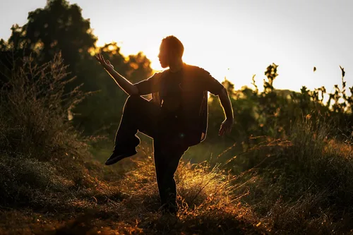 Vista 4 de Five Elements Qigong White Tiger Qigong (YMAA Qigong DVD) Tevia Feng Five Animals Qigong DVD