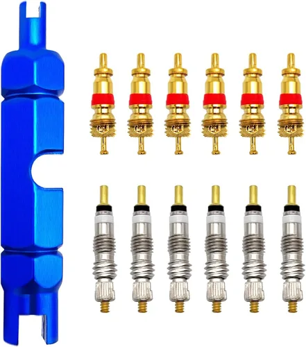 Medsuo Kit de herramientas de extracción de núcleo de válvula de bicicleta, herramienta universal de reparación de núcleo de válvula de automóvil y