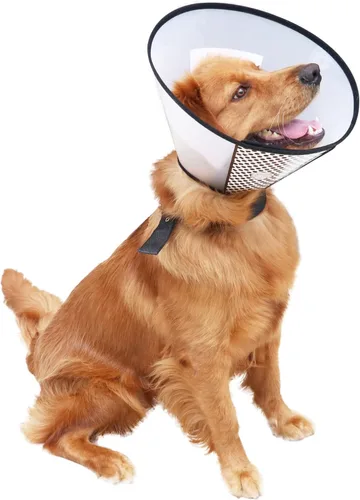 Vista 6 de Collares y conos de recuperación de mascotas de plástico para perros y gatos después de la cirugía, cono ajustable para el cuello del perro, collar