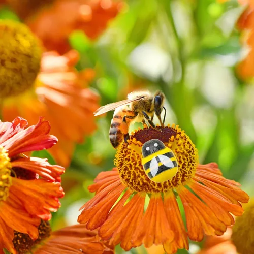 Vista 4 de Hoedia 200 adornos de abejas de madera para manualidades, abejas, autoadhesivas, para decoración del hogar, pequeños adornos, calcomanías