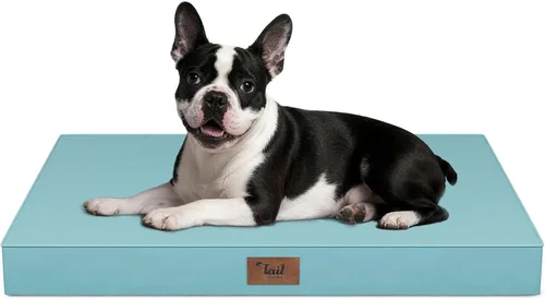 Vista 79 de Cama para perros y gatos pequeños, impermeable, para jaula de huevos, espuma ortopédica con funda Oxford lavable y extraíble, color verde Amy