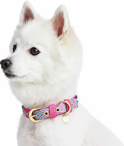 Vista 5 de Blueberry Pet - Collar ajustable para perro con forma de diamantes tribales del sudoeste en francés rosa con hebilla de metal, cuello 9-12.5