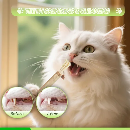 Vista 4 de Juguetes masticables para gatos, paquete de 11 juguetes de hierba gatera para gatos de interior, limpieza de dientes, cuerda elástica interactiva