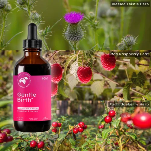 Vista 5 de Mountain Meadow Herbs Gentle Birth for Birth Prep / Preparación del parto, extracto de hierbas líquido de acción rápida para apoyo al parto - 4oz