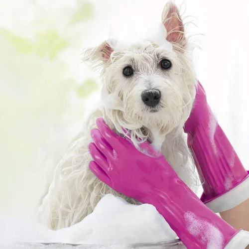 Vista 5 de Playtex Guantes Living Premium Protection, L 1 par (paquete de 10)