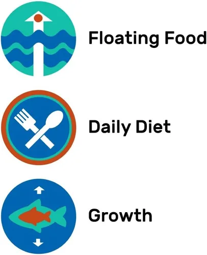 Vista 5 de Hikari Gránulos flotantes de grapas cíclidos de 8.8 onzas para mascotas, tamaño mediano