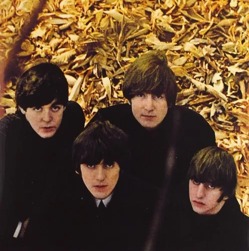 Vista 12 de The Beatles in Mono The Complete Mono Recordings