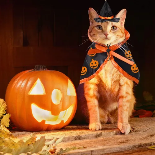 Vista 3 de Disfraz de gato de Halloween, capa, sombrero de bruja, accesorios para mascotas, disfraz de calabaza ajustable para Halloween, disfraz de mascota