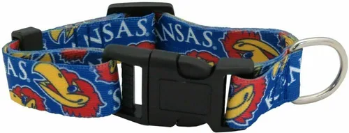 Vista 28 de Littlearth Collar para mascotas del equipo NCAA