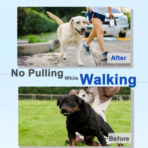 Vista 2 de Collar de entrenamiento para perros, collar ajustable para perro con hebilla de liberación rápida, collar de perro para perros pequeños, medianos