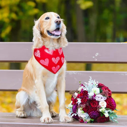 Vista 3 de Whaline 4 bandanas navideñas para mascotas, diseño triangular, baberos para perros del día de San Patricio, bufanda para perro, bufanda para el día