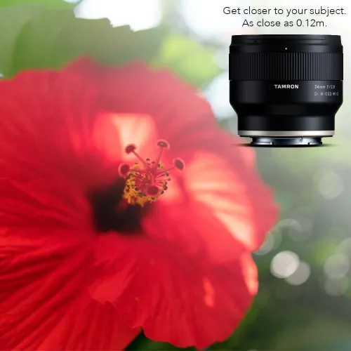 Vista 6 de Tamron 24mm F/2.8 Di III OSD M1:2 Lente para Cámara Sony Full Frame/APS-C E-Mount Mirrorless
