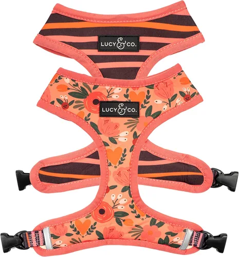 Vista 34 de Lucy & Co. - Arnés reversible para perros, bonito, arnés de diseño, talla XS a XL, chaleco acolchado ajustable para pasear con facilidad