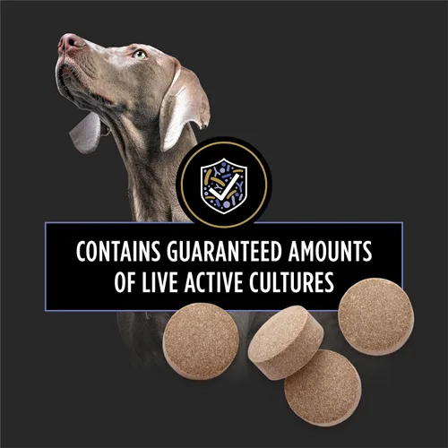 Vista 4 de Purina Pro Plan - Suplementos veterinarios Fortiflora Probióticos para perros, tabletas masticables para salud digestiva intestinal y diarrea