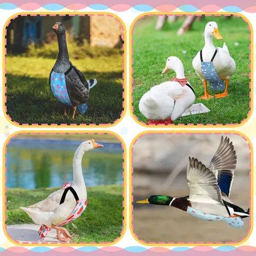 Vista 6 de DoubleFill 6 piezas de pañales para pollos para gallinas, gallos, patos reutilizables lavables con lazada para patitos, gallinas, gansos, aves