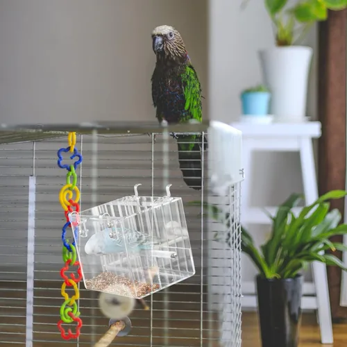 Vista 8 de Comedero sin pájaros, jaula de comedero para loros con ganchos para pájaros, automático, contenedor de comida para loros, plato para colgar