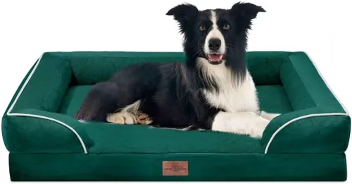 Vista 256 de Comfort Expression - Cama ortopédica para perros pequeños, 20 x 14 pulgadas, cama impermeable y de apoyo de espuma con cojines removibles, sofá