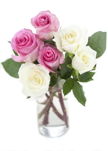 Vista 68 de KaBloom - Rosas arcoíris (media docena)- Flores frescas para cumpleaños, San Valentín y Día de la Madre