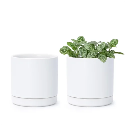 Vista 34 de D'vine Dev - Juego de 2 macetas de plantas de 3.5 pulgadas, maceta de cerámica para plantas con agujero de drenaje y platillo, negra, 94-V-A-2