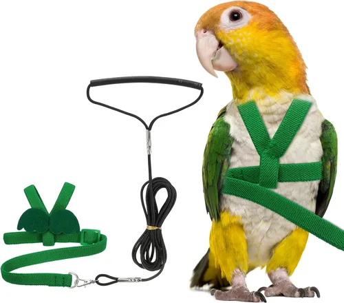 Vista 11 de Correa de arnés para pájaros, arnés y correa con linda ala, (azul, XS)