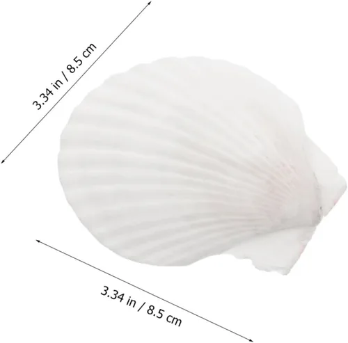 Vista 2 de Healifty Platos de concha de vieira 10 piezas de decoración natural de conchas para decoración de barbacoa de cena